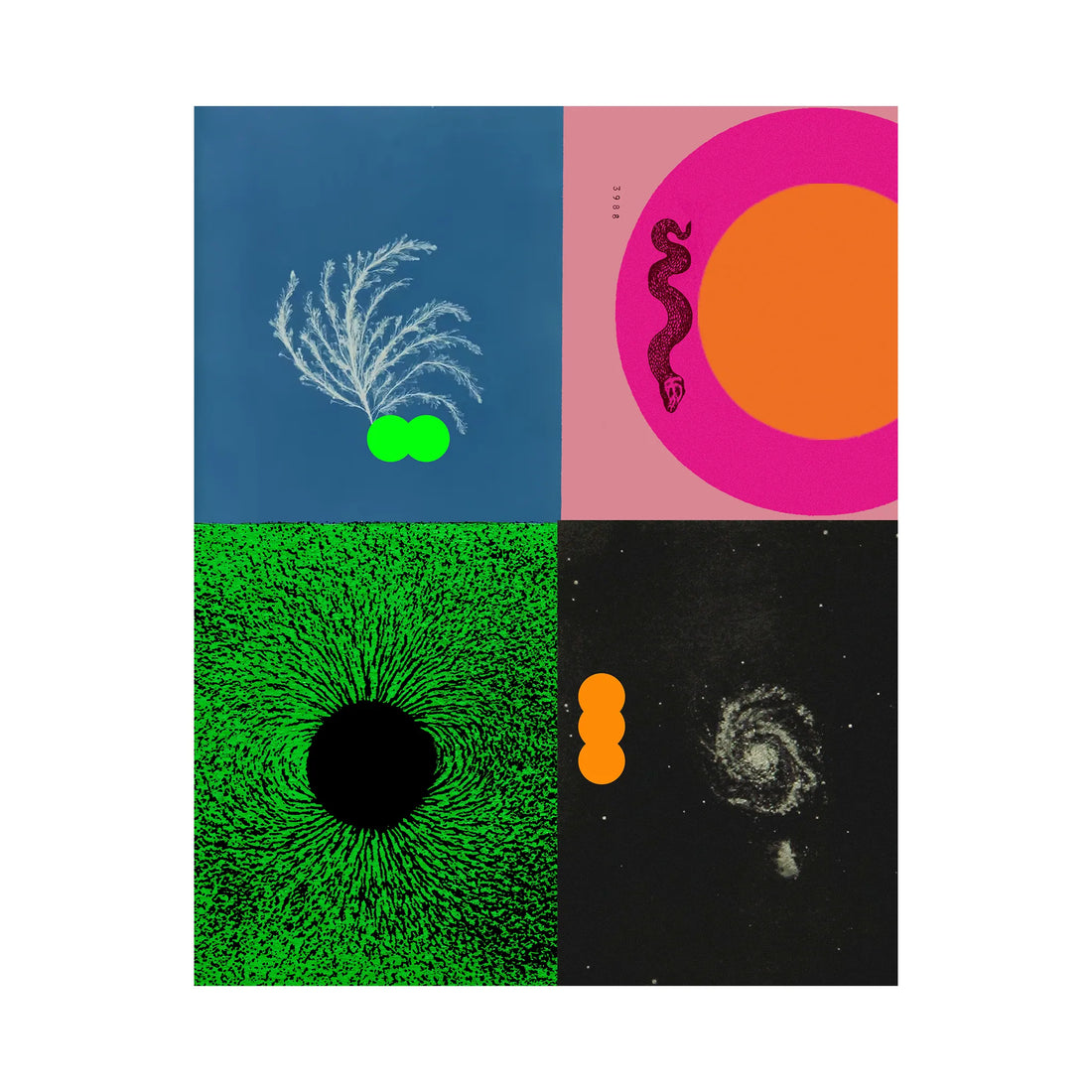 Motion Pictures, 2025 - Amogh Bhatnagar