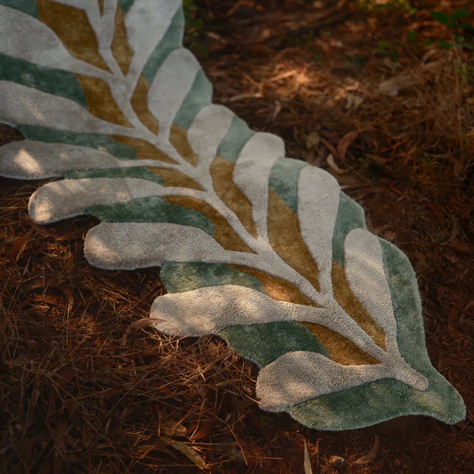 Fern