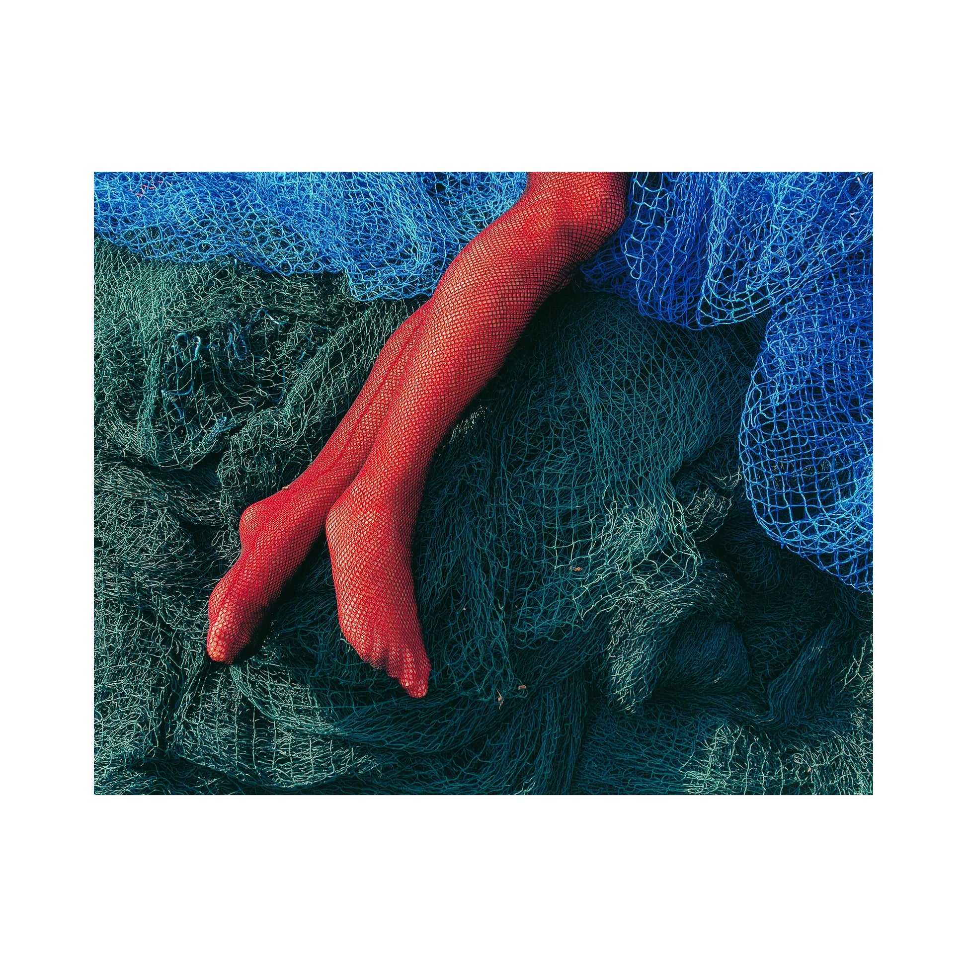 Entanglement, 2019 - Harnoor Juneja