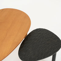 OVOID NESTING COFFEE TABLE | CHISELED