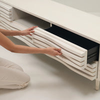 WAYVE TV CONSOLE